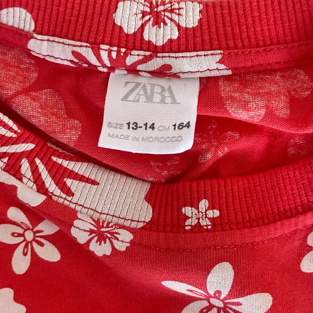 I don't use it anymore and it's in perfect condition. T shirt Zara Kids.